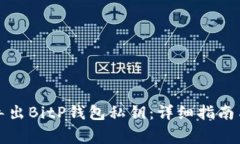 如何安全导出BitP钱包私钥：详细指南