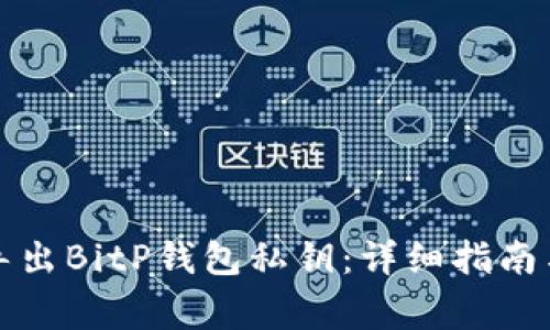 如何安全导出BitP钱包私钥:详细指南与注意事项