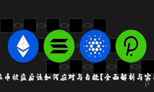 比特派币被盗后该如何应对与自救?全面解析与实用建议