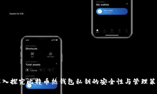 深入探究比特币热钱包私钥的安全性与管理策略