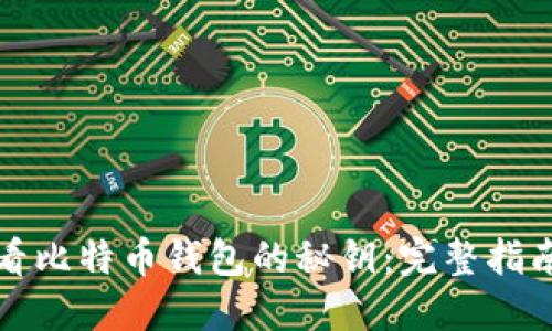 如何安全查看比特币钱包的秘钥:完整指南与风险防范