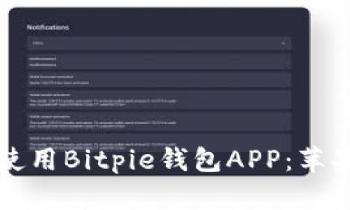 如何快速下载和使用Bitpie钱包APP:苹果用户的详细指南