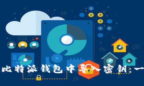 如何安全地在比特派钱包中导入密钥：一步步详细指南