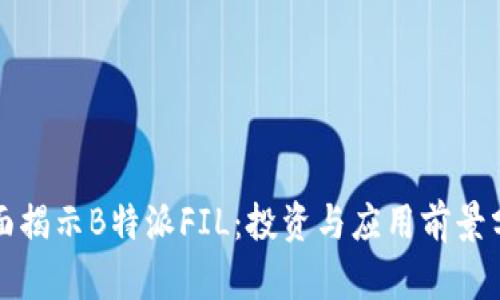 全面揭示B特派FIL：投资与应用前景分析