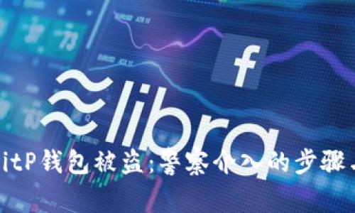 如何应对BitP钱包被盗：警察介入的步骤与处理方案