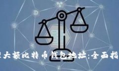如何安全管理大额比特币钱包地址：全