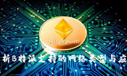 全面解析B特派支持的网络类型与应用场景