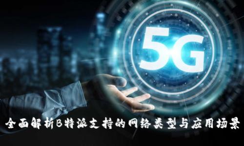 全面解析B特派支持的网络类型与应用场景