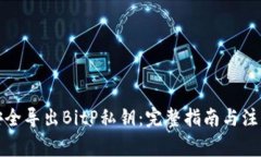 如何安全导出BitP私钥：完整指南与注