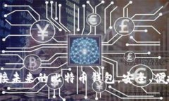 Instawalletpay：连接未来的比特币钱包，