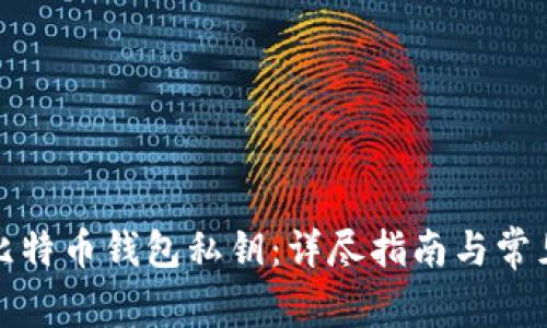 如何找回比特币钱包私钥：详尽指南与常见问题解答