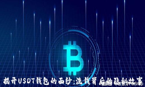 
揭开USDT钱包的面纱：洗钱背后的隐秘故事
