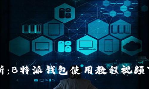 全面解析:B特派钱包使用教程视频下载指南