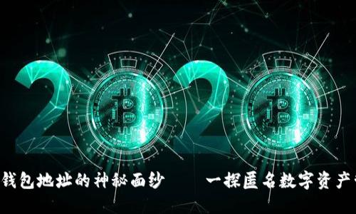 揭开B特派钱包地址的神秘面纱——一探匿名数字资产管理的未来