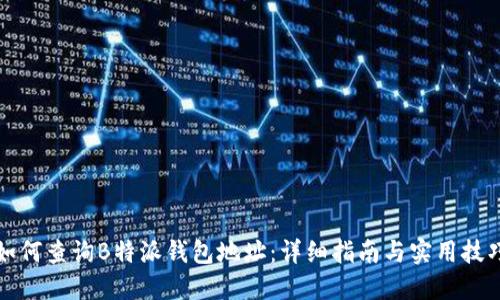 如何查询B特派钱包地址:详细指南与实用技巧