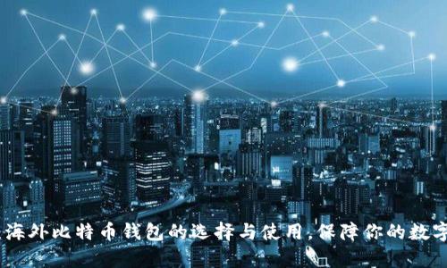 全面解析:海外比特币钱包的选择与使用,保障你的数字财产安全