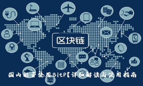 国内能否使用BitP?详细解读与使用指南