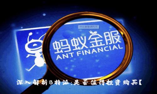 深入解析B特派:是否值得投资购买?