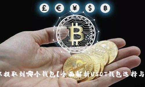 USDT可以提取到哪个钱包?全面解析USDT钱包选择与使用技巧