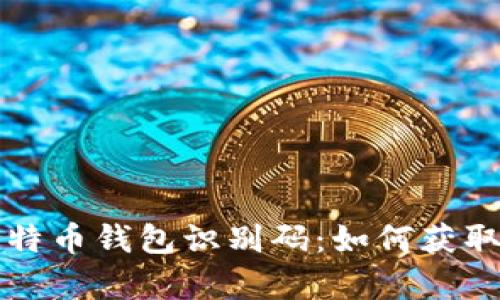 全面解析比特币钱包识别码:如何获取与使用分析
