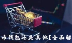   IGP账户：比特币钱包还是其他？全面