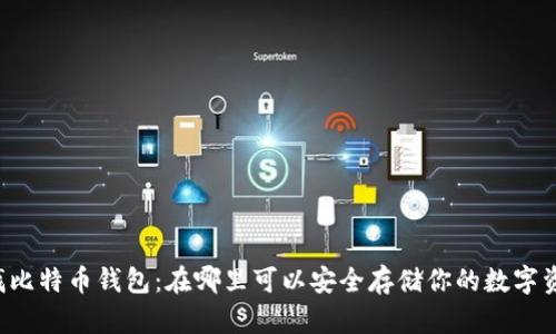 寻找比特币钱包:在哪里可以安全存储你的数字资产?