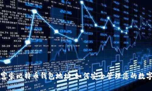 揭秘富豪比特币钱包地址:如何安全管理您的数字资产
