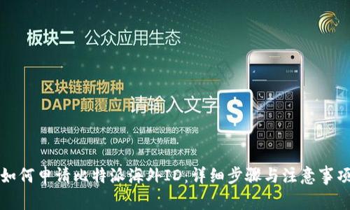 如何申请比特派海外ID:详细步骤与注意事项