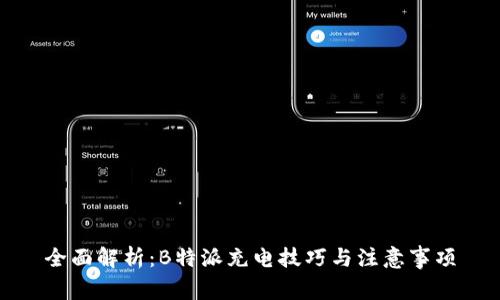 全面解析:B特派充电技巧与注意事项