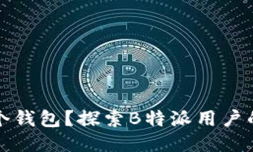 如何高效管理多个钱包?探索B特派用户的切换策略与技巧