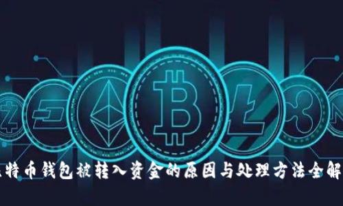比特币钱包被转入资金的原因与处理方法全解析