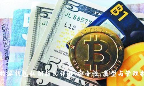 比特派钱包私钥格式详解：安全性、类型与管理指南
