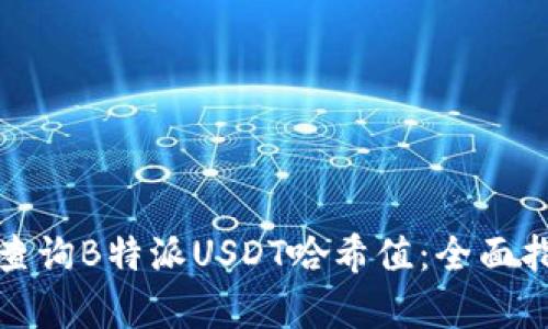 如何有效查询B特派USDT哈希值:全面指南与技巧
