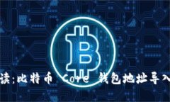 全面解读：比特币 Core 钱包地址导入全