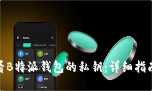 如何查看B特派钱包的私钥:详细指南与步骤