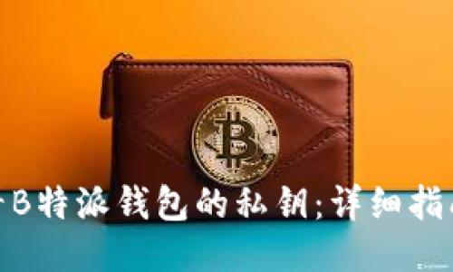 如何查看B特派钱包的私钥:详细指南与步骤