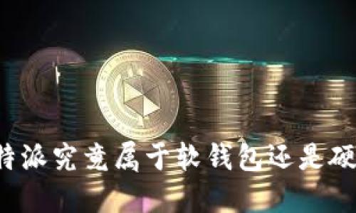 深入探讨:B特派究竟属于软钱包还是硬钱包的范畴?