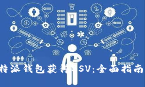 如何利用B特派钱包获得BSV：全面指南与实用技巧