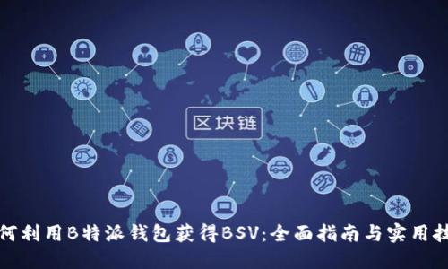 如何利用B特派钱包获得BSV：全面指南与实用技巧