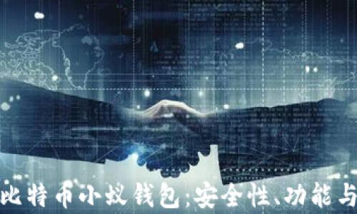 全面解析比特币小蚁钱包:安全性、功能与使用体验