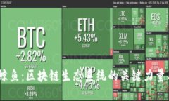 探索Web3鲸鱼：区块链生态系统的关键
