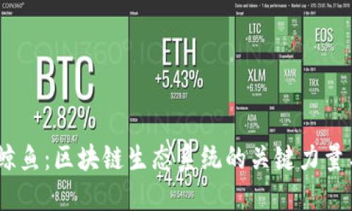 探索Web3鲸鱼：区块链生态系统的关键力量与投资机遇