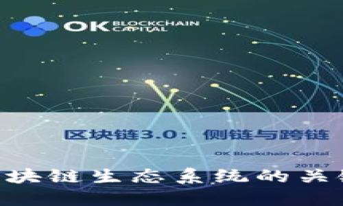 探索Web3鲸鱼：区块链生态系统的关键力量与投资机遇