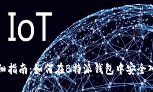 详细指南：如何在B特派钱包中安全入金