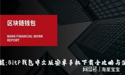 轻松掌握:BitP钱包中文版安卓手机下载全攻略与使用指南
