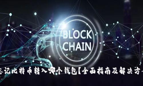 忘记比特币转入哪个钱包?全面指南及解决方案