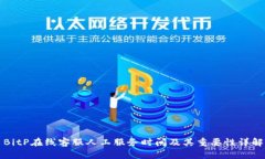 BitP在线客服人工服务时间及其重要性