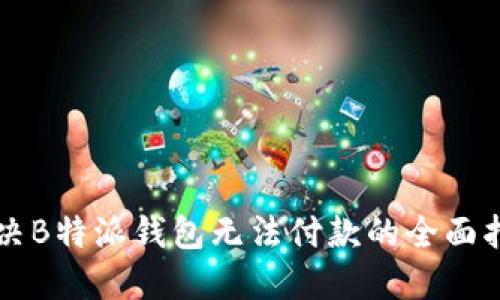 解决B特派钱包无法付款的全面指南