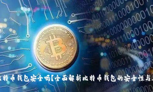 存比特币钱包安全吗?全面解析比特币钱包的安全性与风险