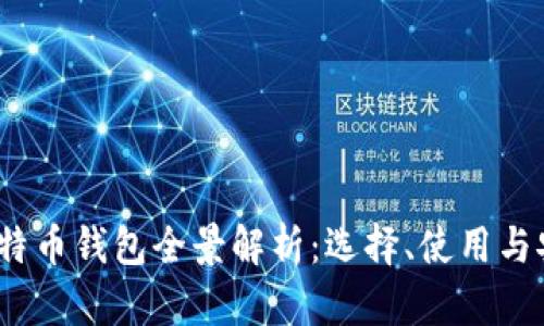2023年中国比特币钱包全景解析:选择、使用与安全性深度探讨